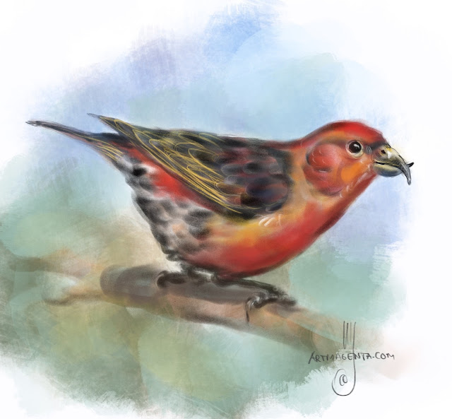 Red crossbill Red crossbill Bird painting by Artmagenta