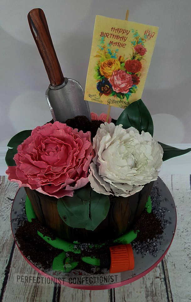 The Perfectionist Confectionist Dublin,flower, pot, plant, cake