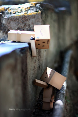 Danbo Tolong menolong Danbo Tolong menolong
