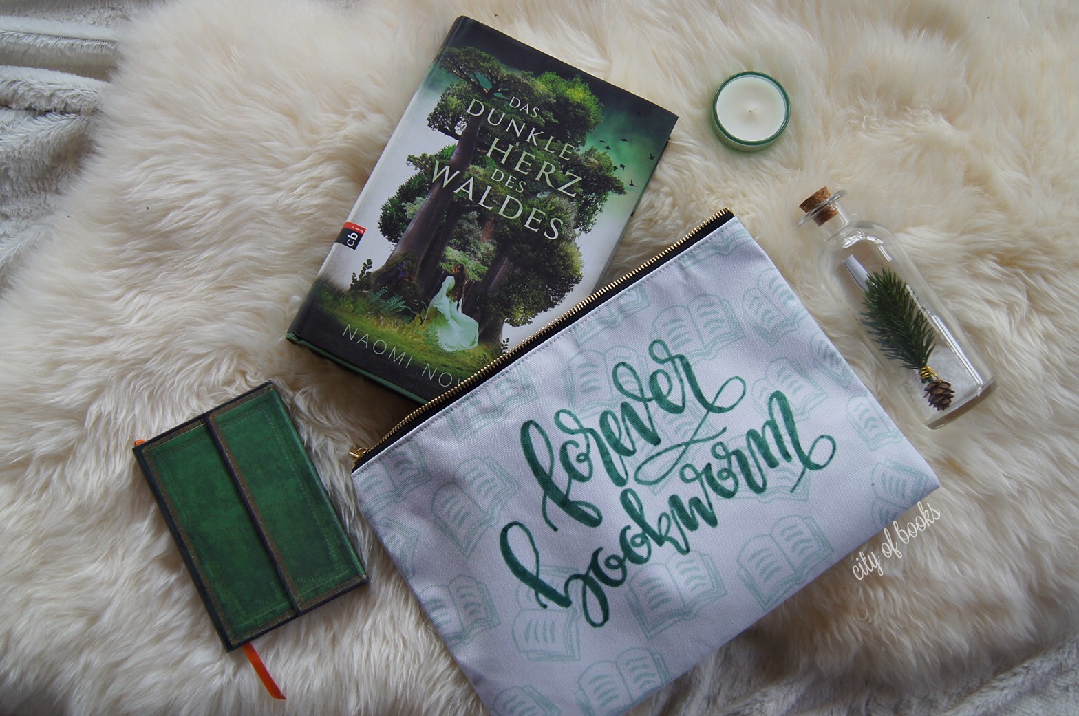 City of Books Rezension Das dunkle Herz des Waldes