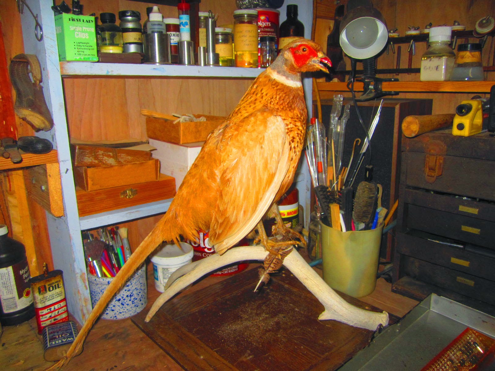 50 yrs ago: 50 yrs ago today