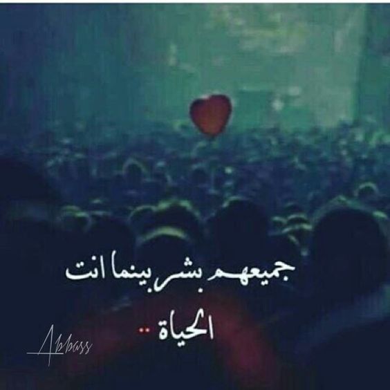 اجمل الصور الحب اجمل الصور الحب
