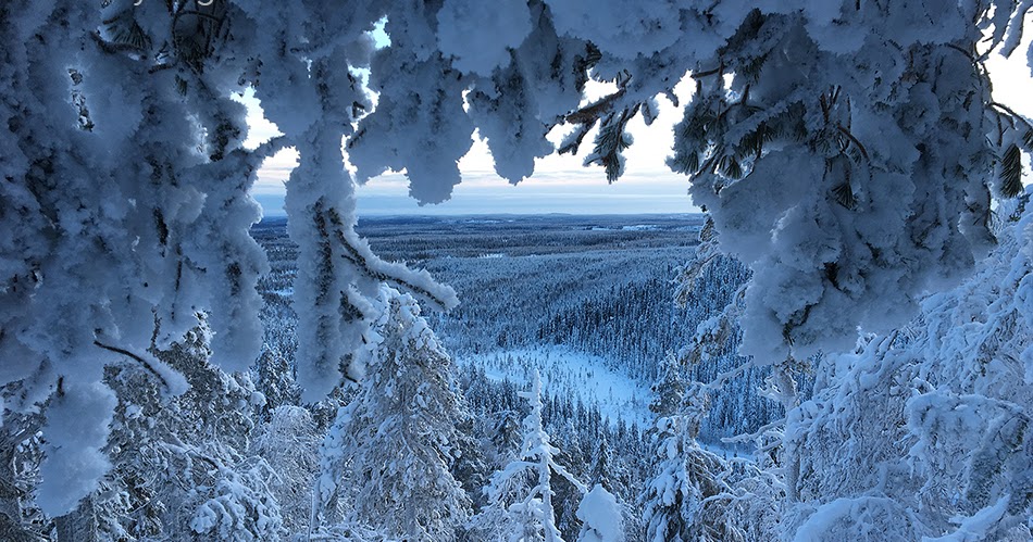 Финляндия январь