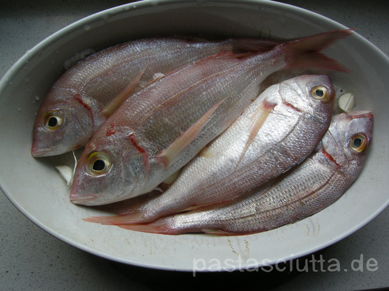 Pastasciutta Kleine Fische Ohne Namen