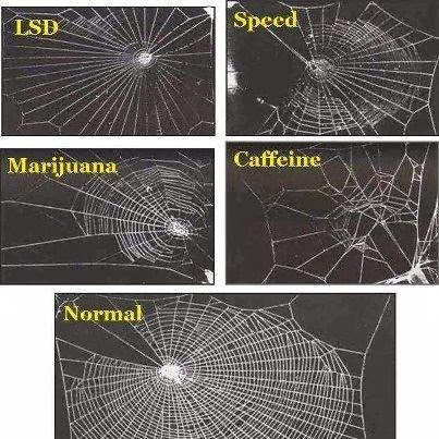 spider web pattern meth crackback
