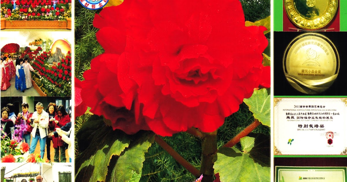 SOUTH EAST ASIA DXING: Voice of Korea