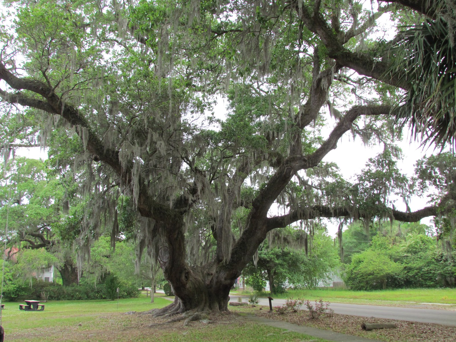 Tug Calypso's Great Loop Adventure It's a little chilly in North
