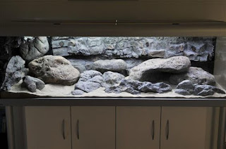 200 Referensi Desain Dan Model Aquascape Berdasarkan Tema https://www.faktapopuler.com/2018/12/200-referensi-desain-dan-model.html