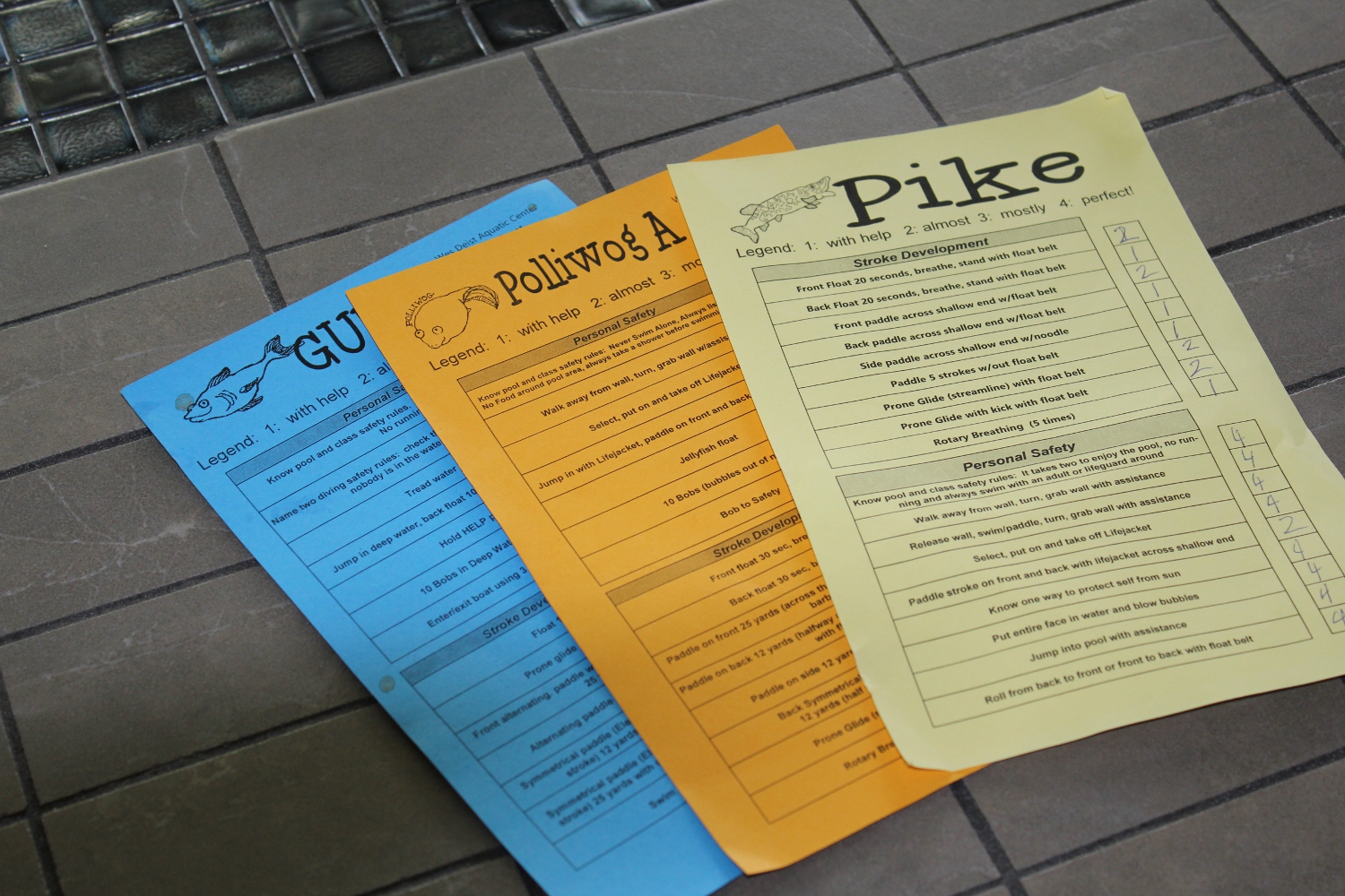 Physical education swimming lesson plans picture