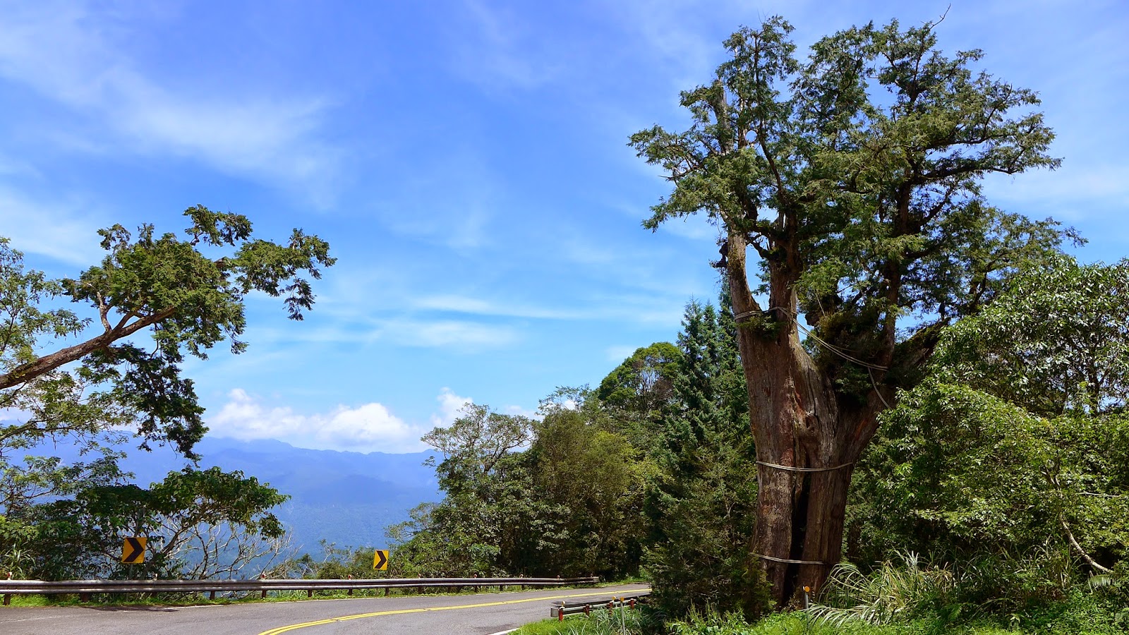 宸於山林水間-前往、看見、體驗中: 慢騎‧太平山-翠峰湖畔山嵐之舞