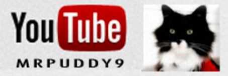 * * * * * * * * * * * * * * * * * * *