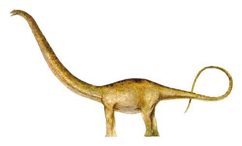 25 Nama Nama Dinosaurus dan Gambarnya Jenis Jenis 