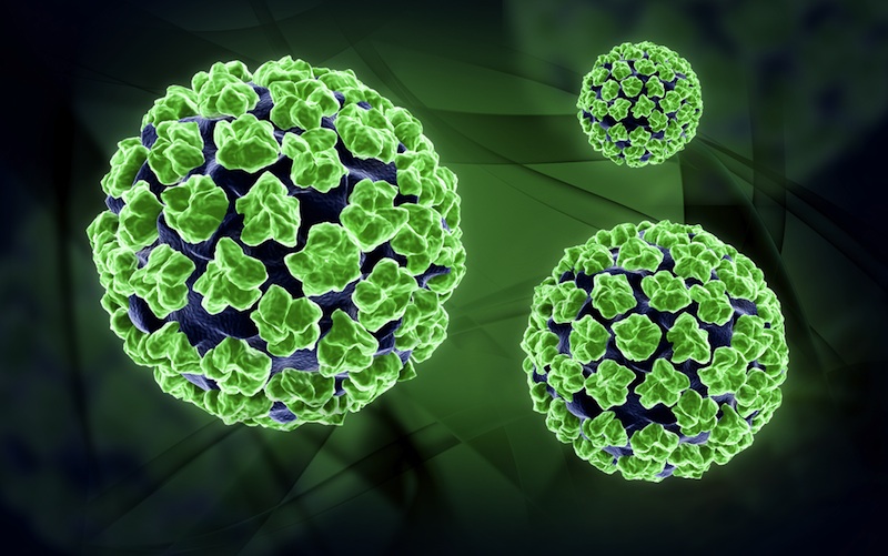 لقاح لـ«ڤيروس الورم الحليمي - The Human Papillomavirus»