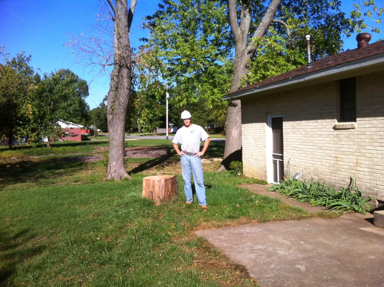 Matt's Tree Service 2013