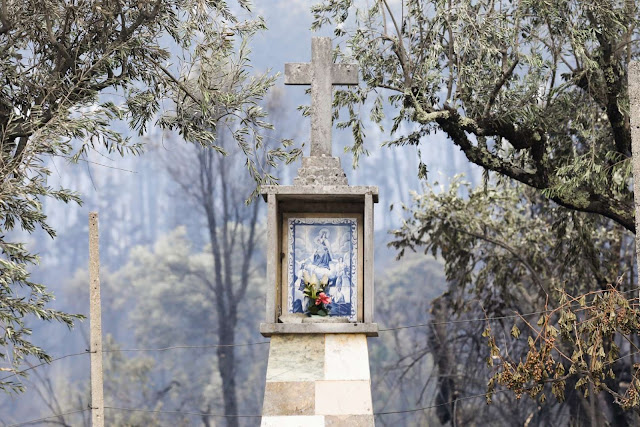22 imagens do mais mortífero incêndio das últimas décadas em Portugal Elfandarilha