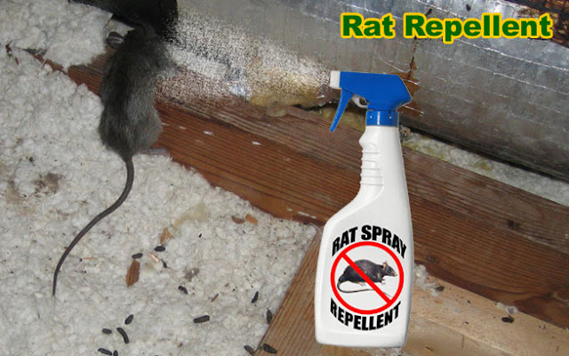 rat repellents