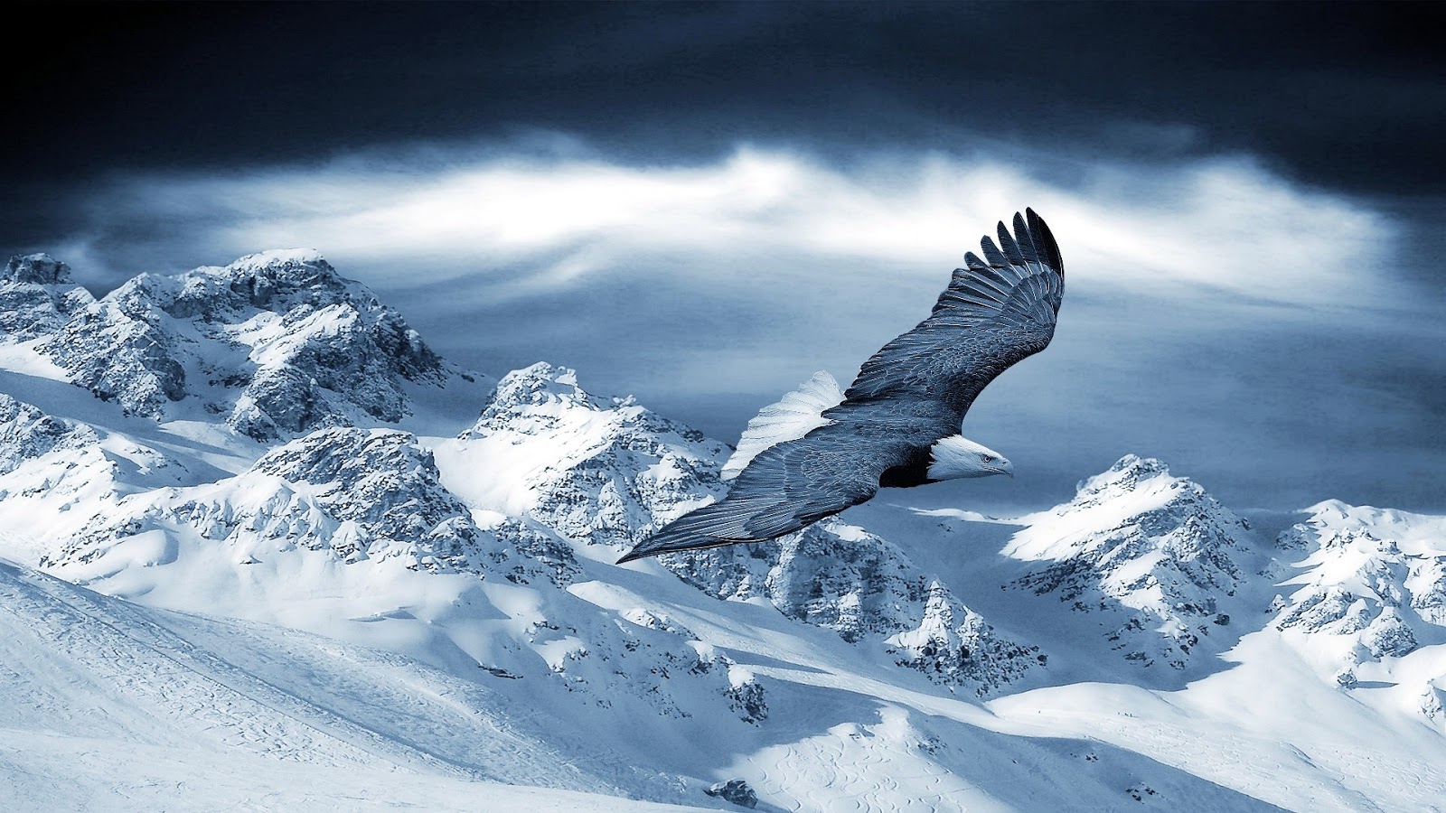 winter wallpapers winter