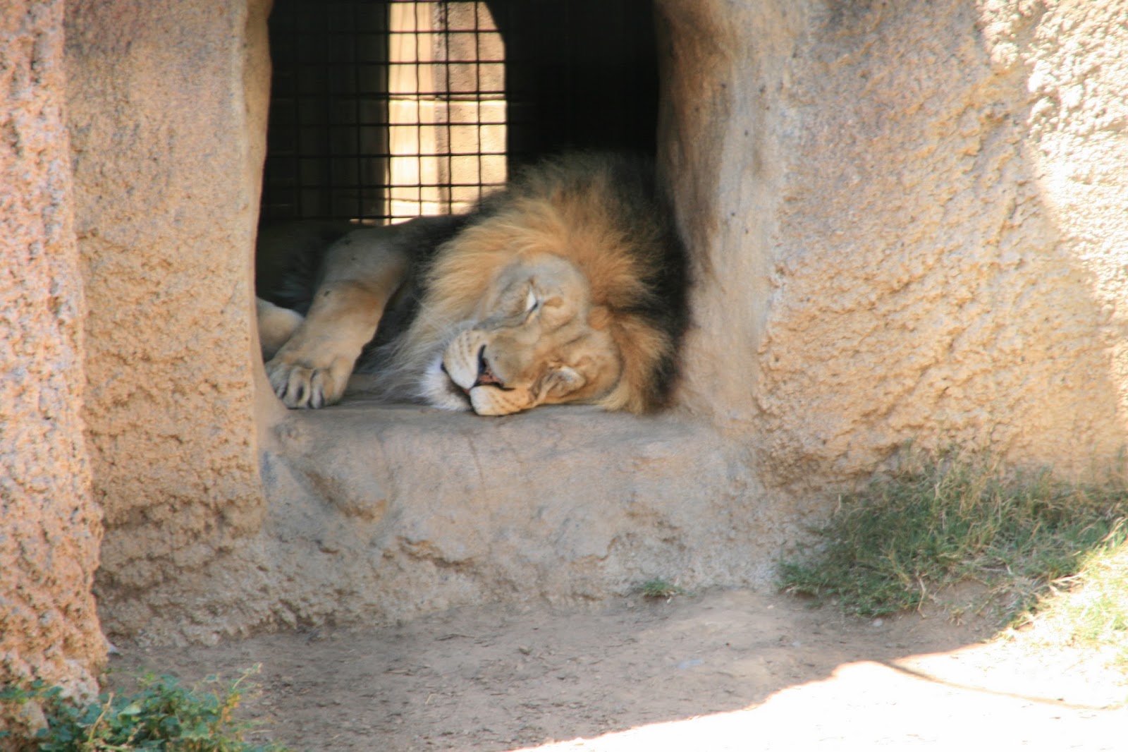 Launching Into 3rd Grade