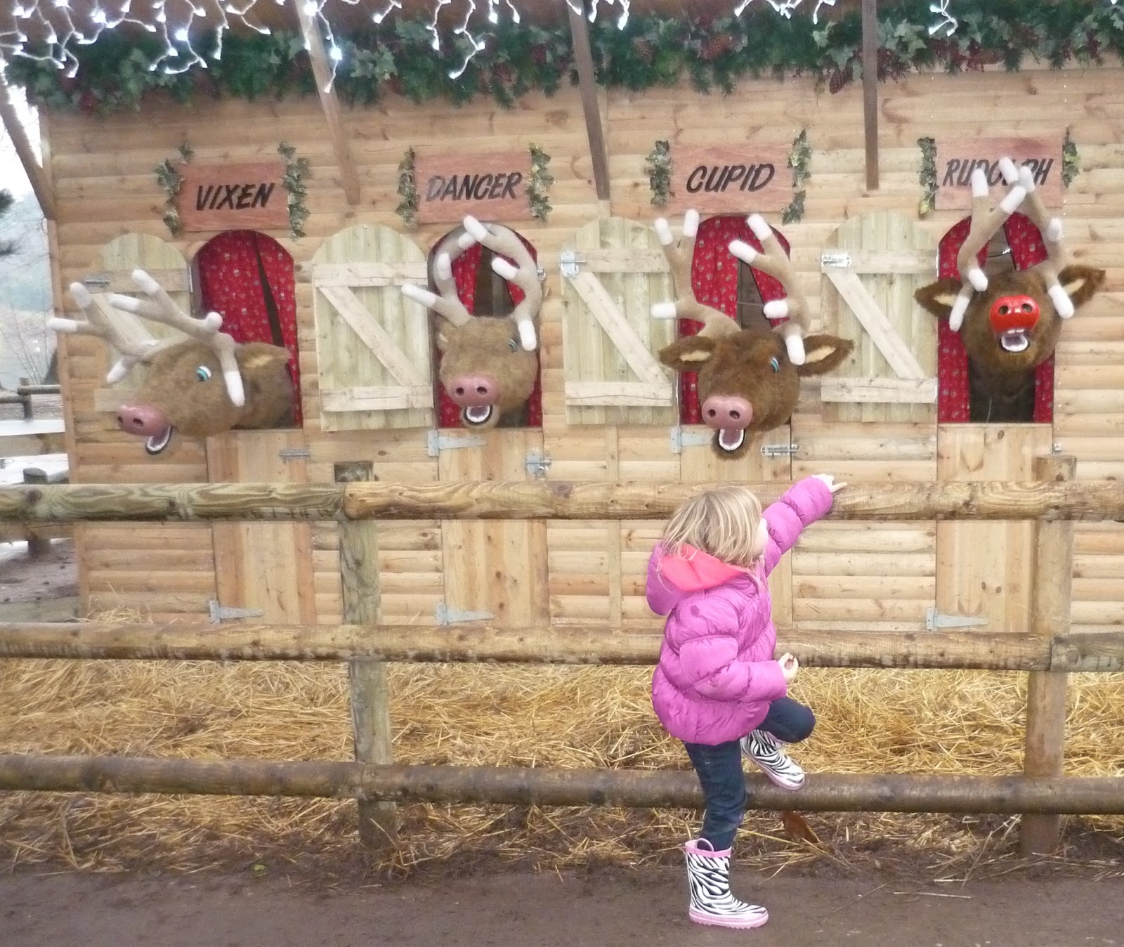 Weekend at Center Parcs Sherwood Forest
