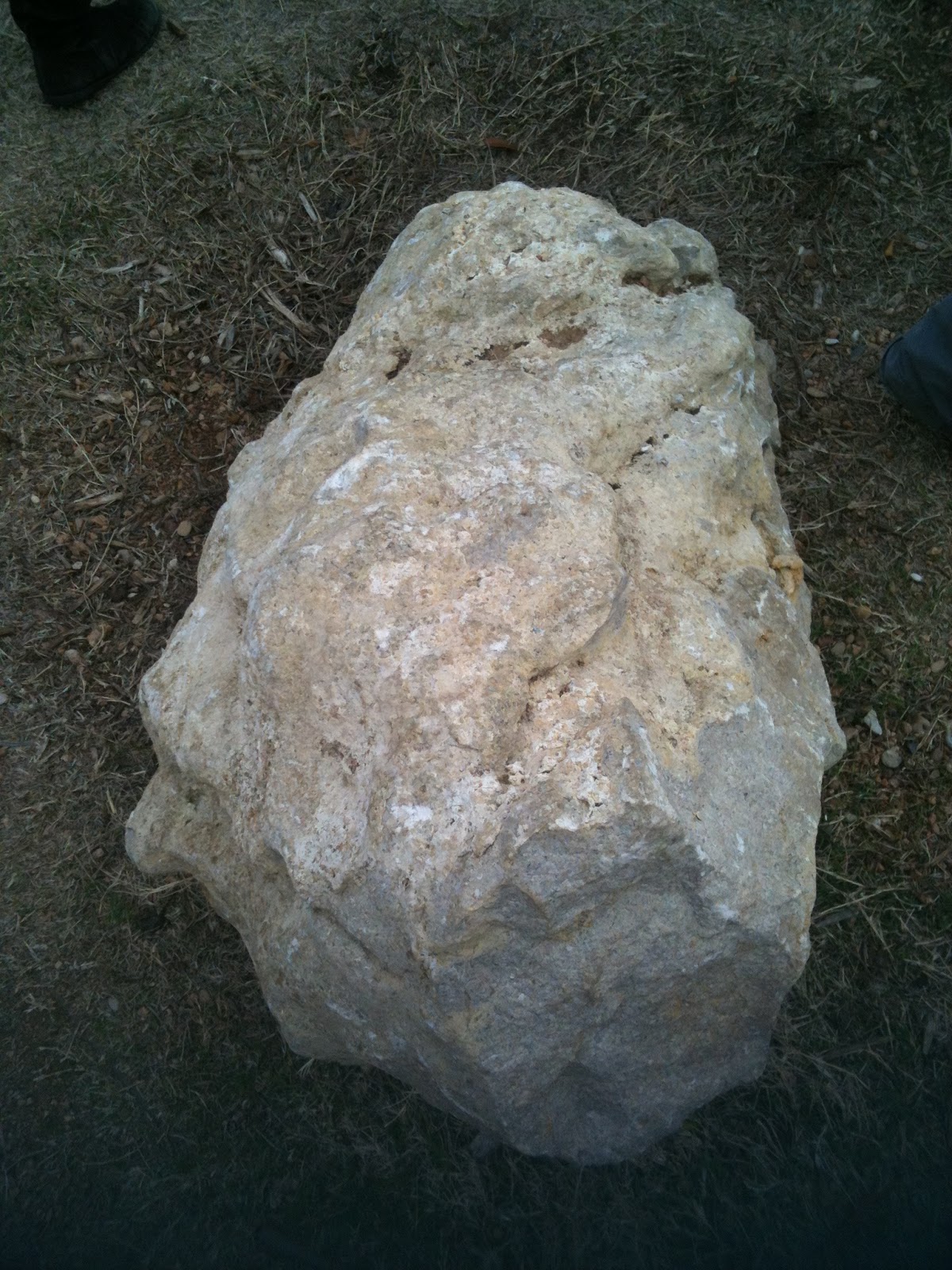 Little Miss Hypothesis - Lessons from the Science Lab: Rocks ROCK!