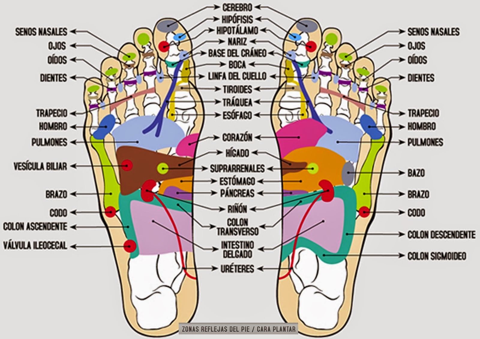 Como hacer masajes en los pies