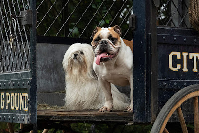 Lady And The Tramp 2019 Movie Image 9