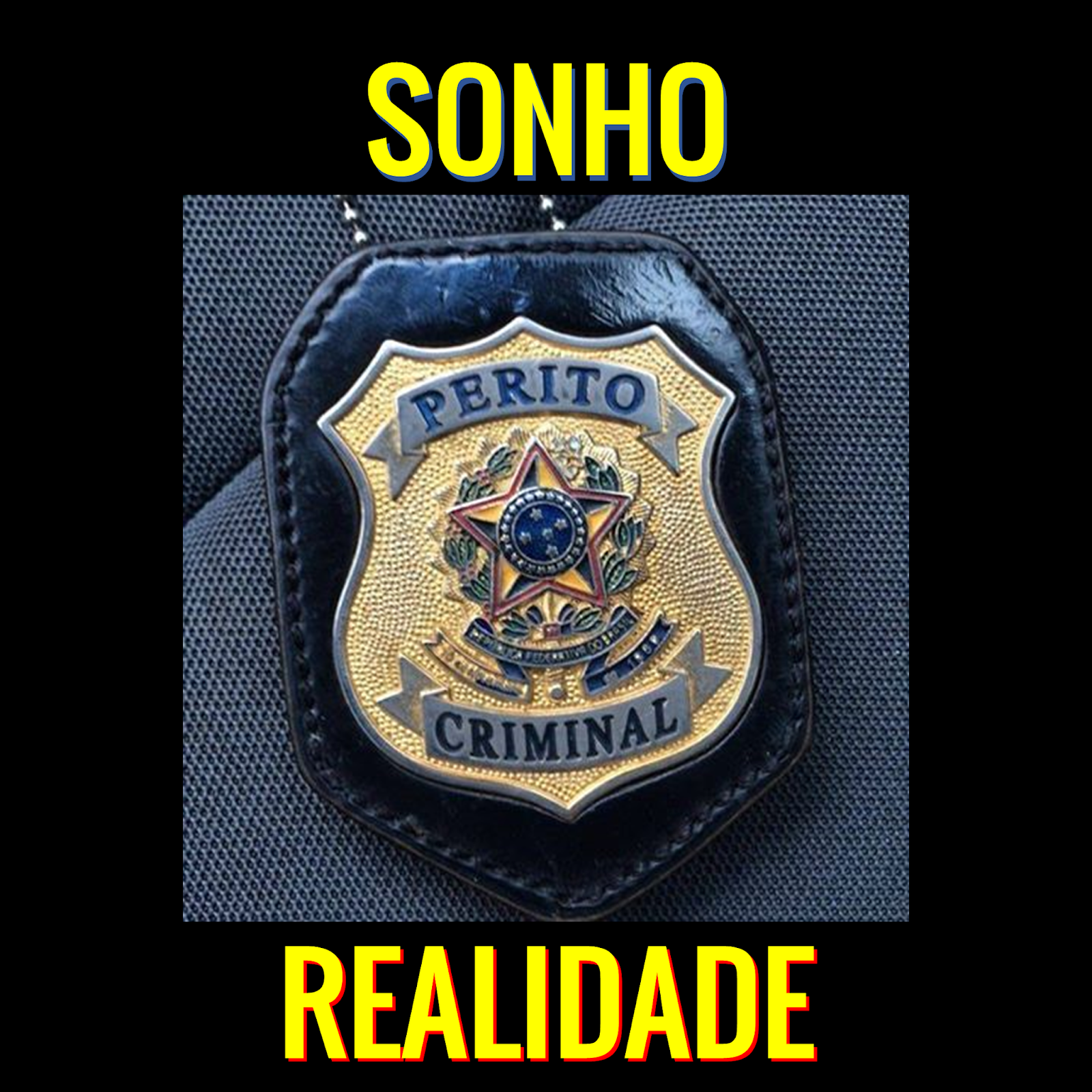 5 vagas para Perito Criminal com salário de R 9.834,65... topa estudar? 5 vagas para Perito Criminal com salário de R 9.834,65... topa estudar?
