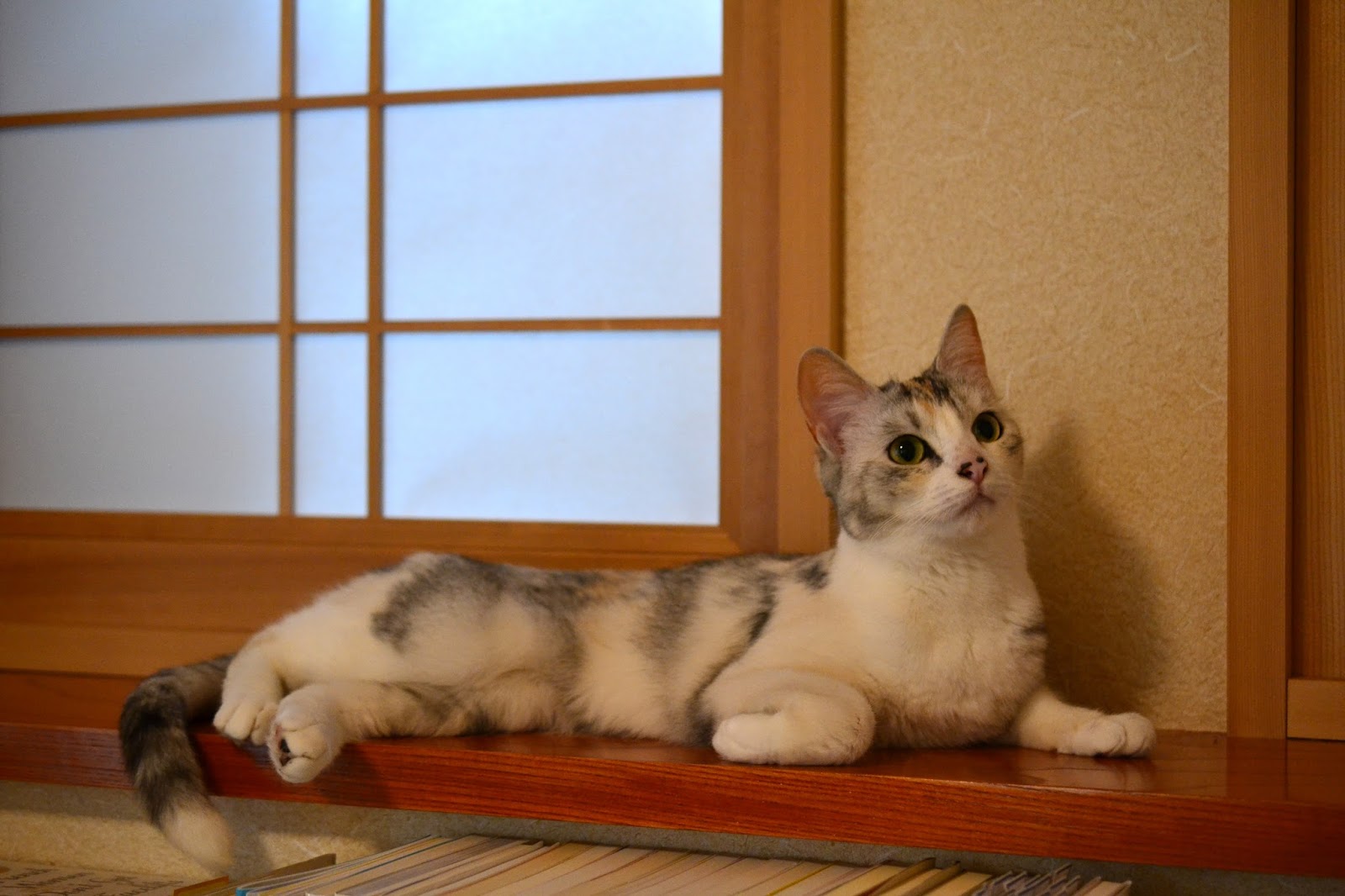 障子の張替えと縁側の塗装