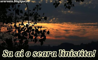 mesaj o seara frumoasa7 o seara linistita