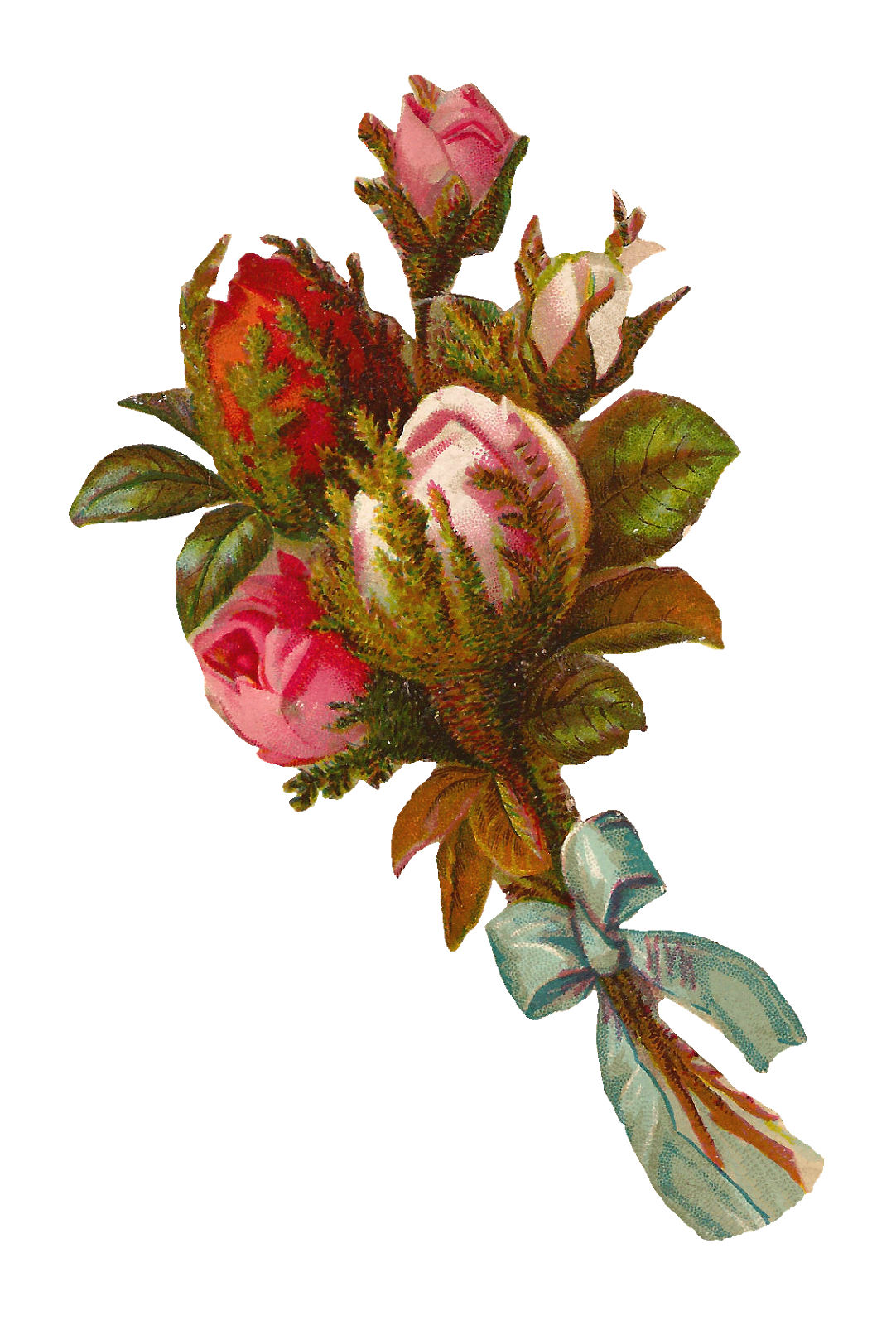 bouquet of roses clipart - photo #20