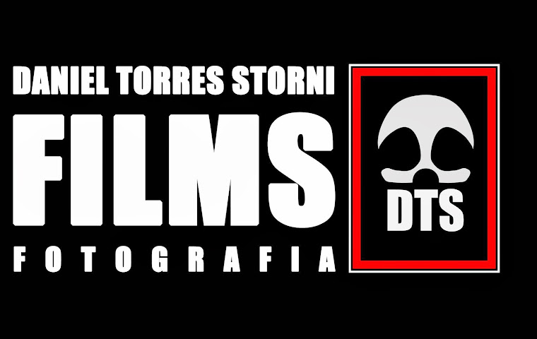 Daniel Torres Storni