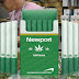 Newport Introduces “Marijuana Cigarettes” That Will Go On Sale Worldwide Next Year