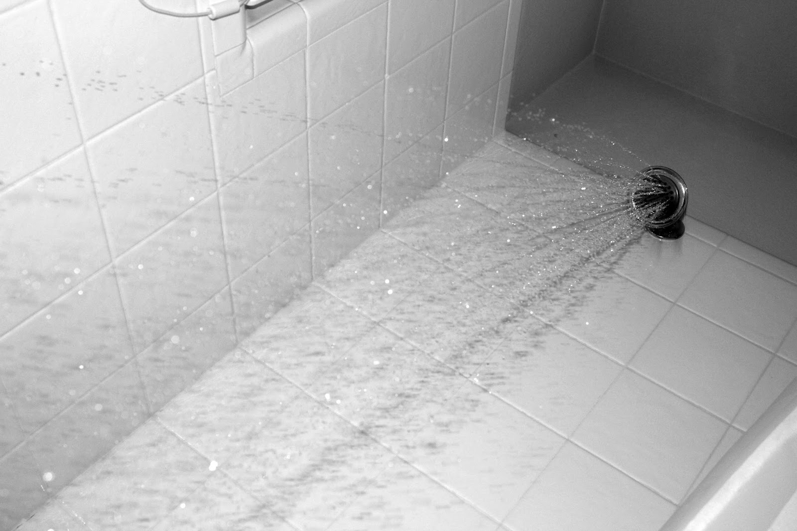 Chloe Photo J Blog Phobia Pictures