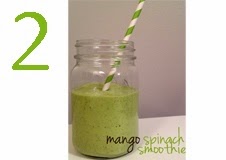 http://www.drkehres.com/2013/03/recipe-mango-spinach-protein-shake.html