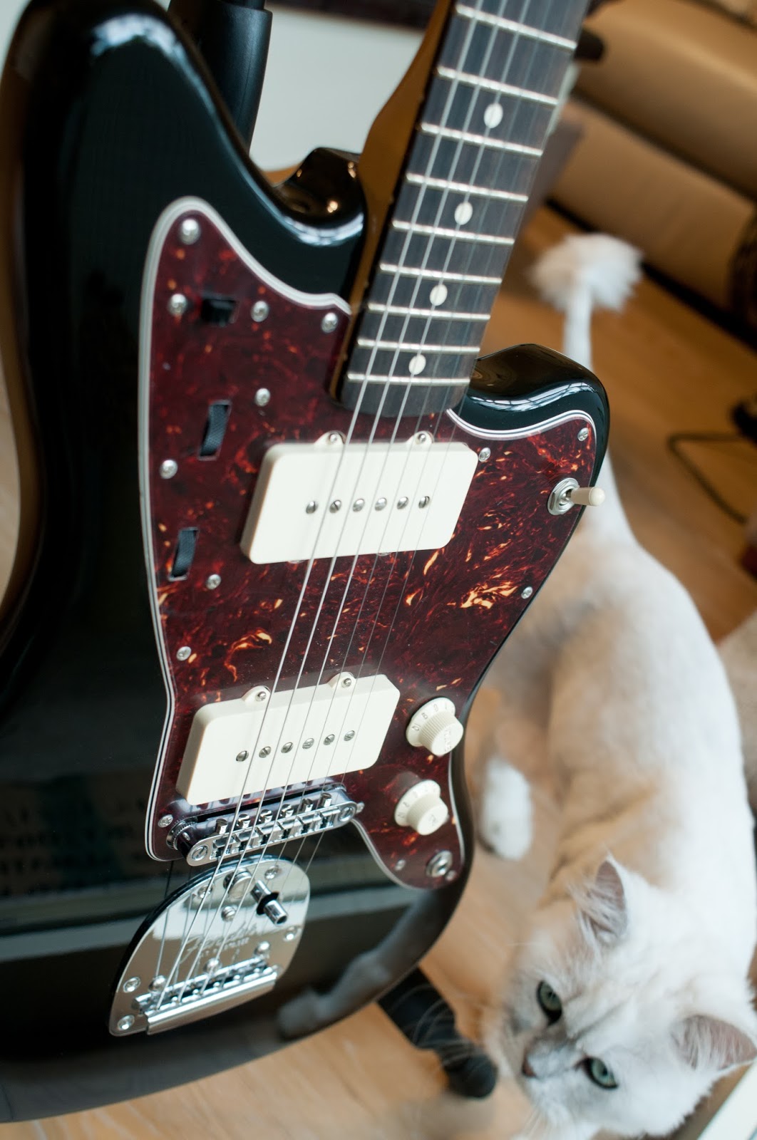 41308円 高品質の人気 最終値下げ Fender Mexico Jazzmaster Special