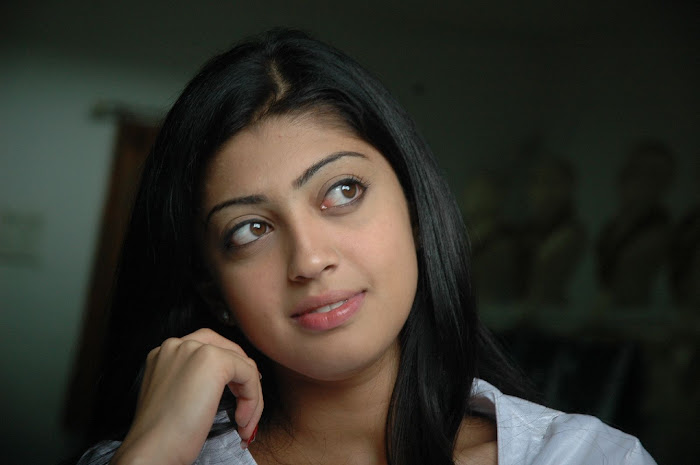 praneetha the girl in white shirtjeans unseen pics