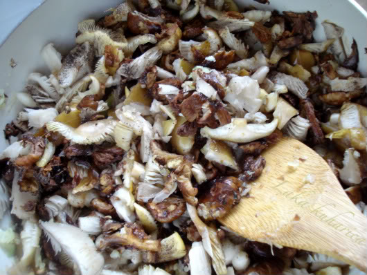 Gnocchi with mushrooms and Gorgonzola by Laka kuharica: add mushrooms