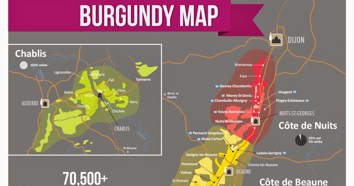 The World of Wine Review France Unit 3 Côte D’Or