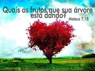 Quais os frutos sua árvore está dando? Mateus 7.18 "A árvore boa não pode dar frutas ruins, e a árvore que não presta não pode dar frutas boas” – Mateus 7.18 (NTLH). Sermão do Monte