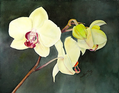 Moth Orchid Watercolor