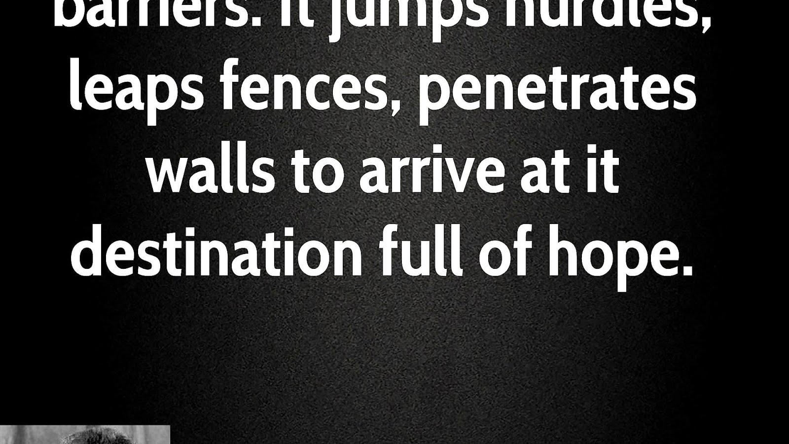 Post turtle Quotes Fences Fence Choices