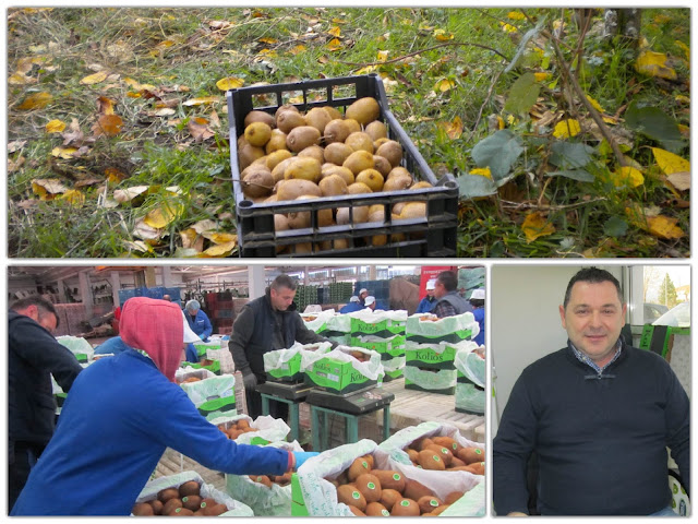 Άρτα: Η Kolios Fruit,έχει απλώσει τα φτερά των εξαγωγών της σε Κίνα, Χονγκ Κονγκ, Σιγκαπούρη, Λίβανο, Αμερική και Καναδά