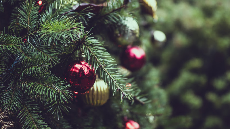 Christmas Tree