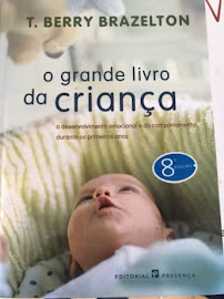 O livro que estou a ler