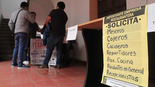 Son profesionistas la mitad de desempleados en Oaxaca