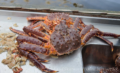 Kirkenes 挪威 King Crab Safari 皇帝蟹團 Kirkenes 挪威 King Crab Safari 皇帝蟹團