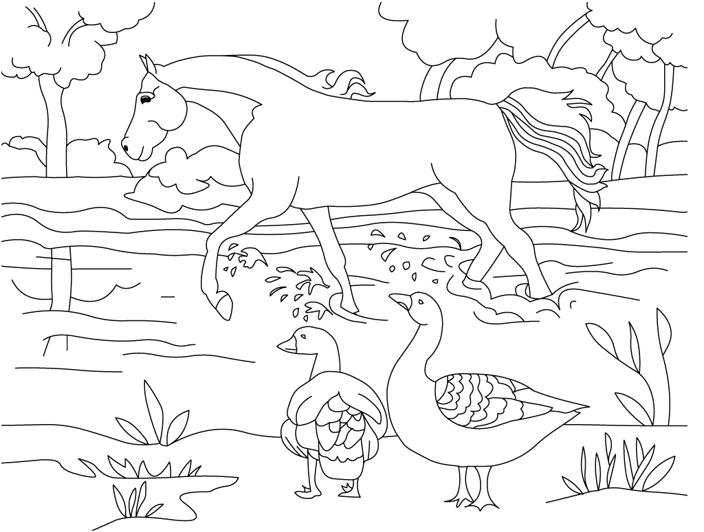 22+ Gambar Untuk Anak Sd Kelas 3