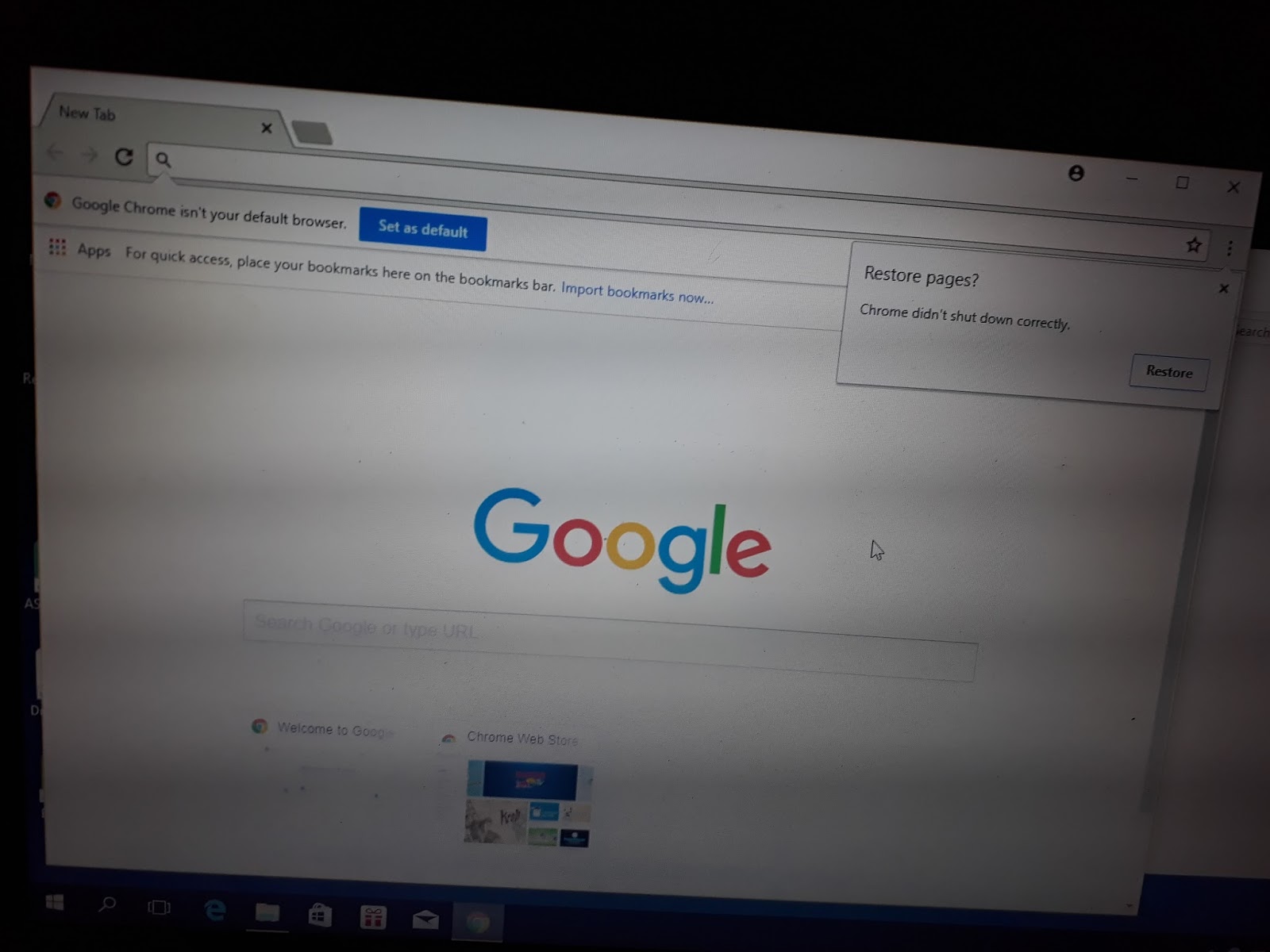 Google Chrome Browser Standalone