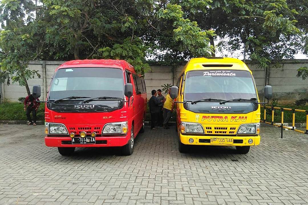 sewa elf murah