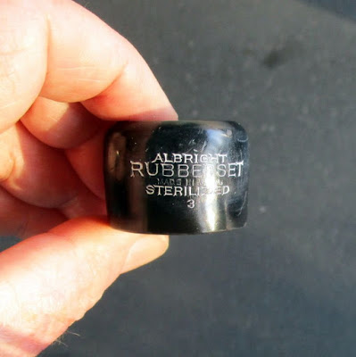 [Image: RS200_09.JPG]
